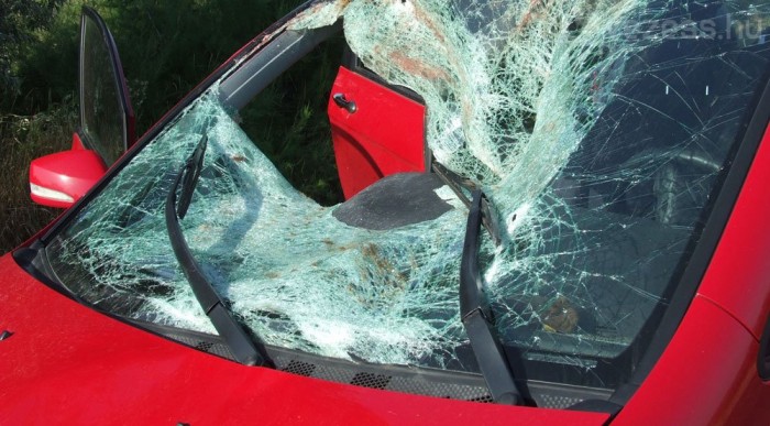 Őzhulla a kalaptartón 9