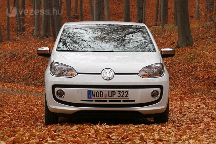 49236_384042_1000x700