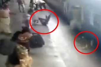 A nap hülyéje a megszokottnál is hülyébb