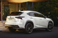 Sportverzió készül a Lexus NX crossoverből 2