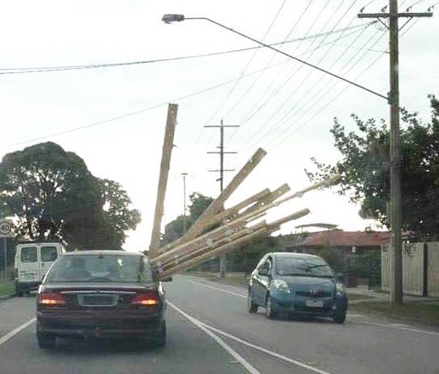 3999491700000578-3861502-The_frightening_photo_was_posted_to_the_NSW_Police_Force_Faceboo-a-2_1477111198790 | Vezess | Vezess