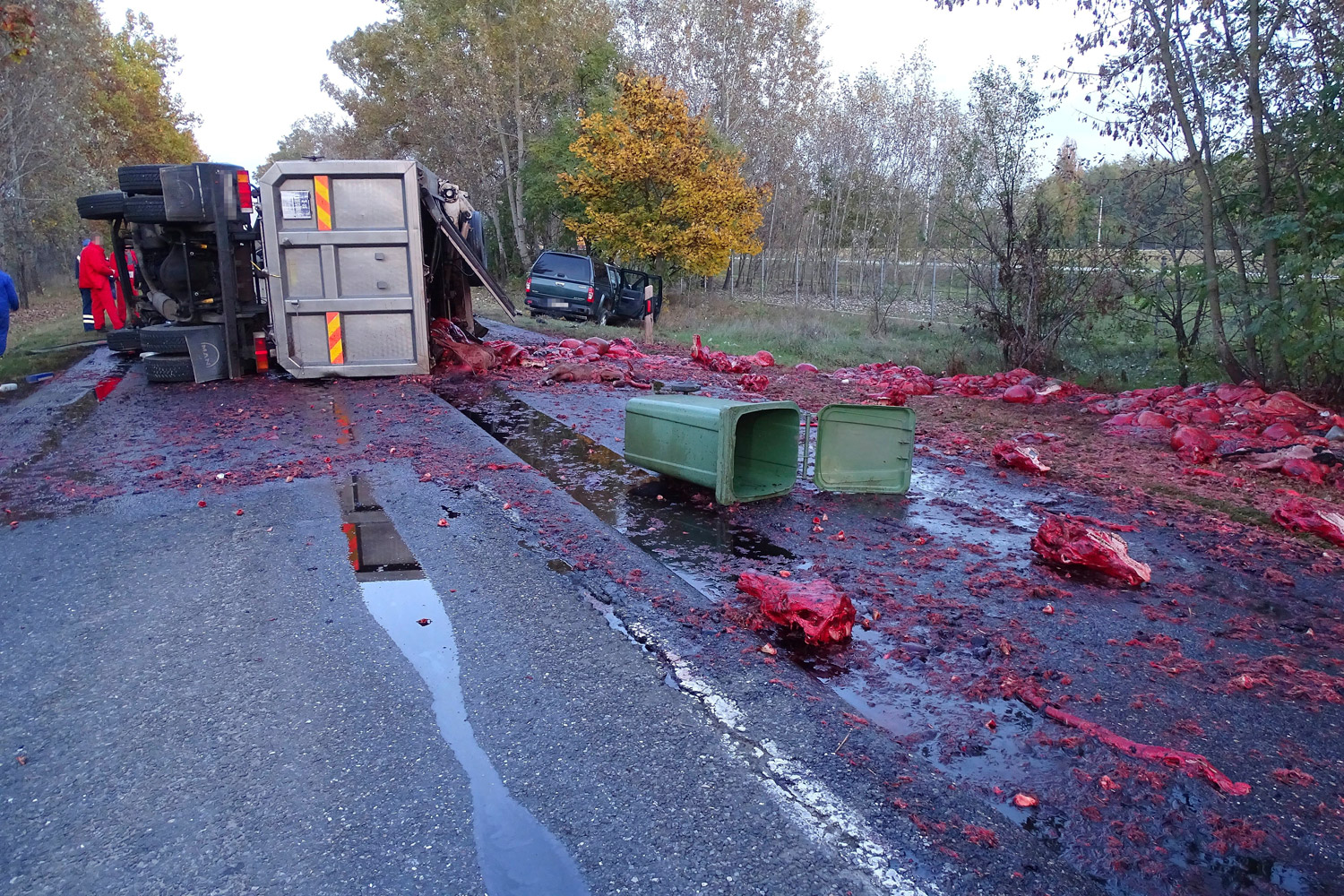 DONKA20161025007 | Vezess | Vezess