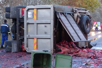 Gusztustalanul véres baleset az 52-esen - fotók