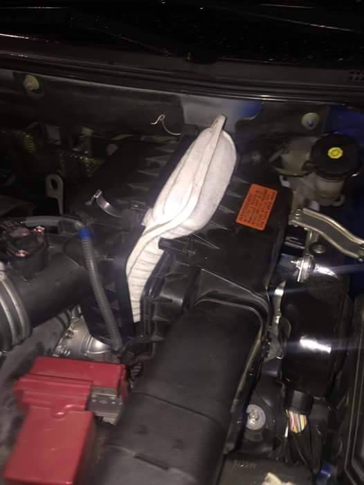 14925646_1313529405346167_2630033946951874615_n