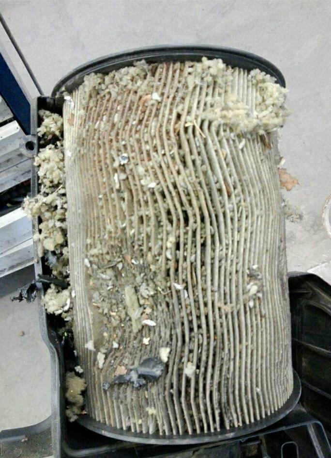 14980686_676897392481592_6536312511373466671_n