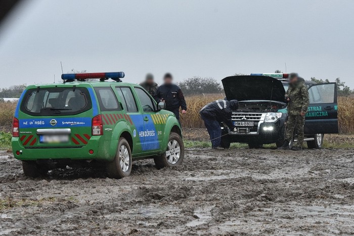 29585074957ff5a1879af0