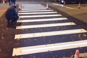 Csodazebrával kísérleteznek a románok, ez akár életeket is menthet!