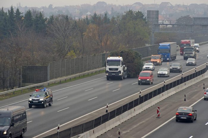 Úton az ország karácsonyfája, nézd meg a fotókat 1 Érd, 2016. november 25. Tréleren szállítják az ország karácsonyfáját Érd térségében az M7-es autópályán 2016. november 25-én. A mintegy húsz méter magas, négy és fél tonna súlyú ezüstfenyõt Sárszentmihályon vágtak ki és az Országház elõtt állítják fel. MTI Fotó: Lakatos Péter