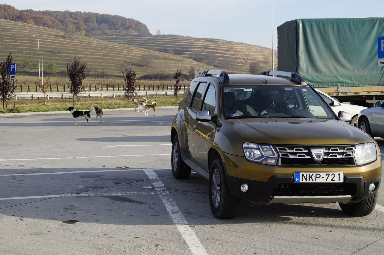 A Dacia-kaland resztlije 19