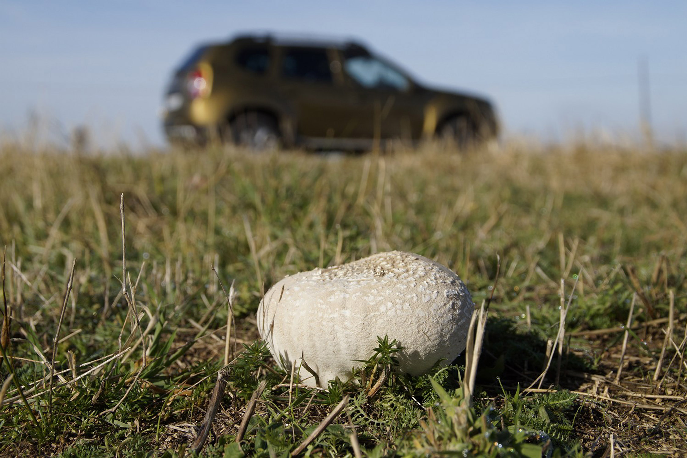 Vizuális himnusz a Dacia Dusterhez 5