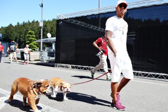 Lewis Hamilton kutyaspermát spájzolt
