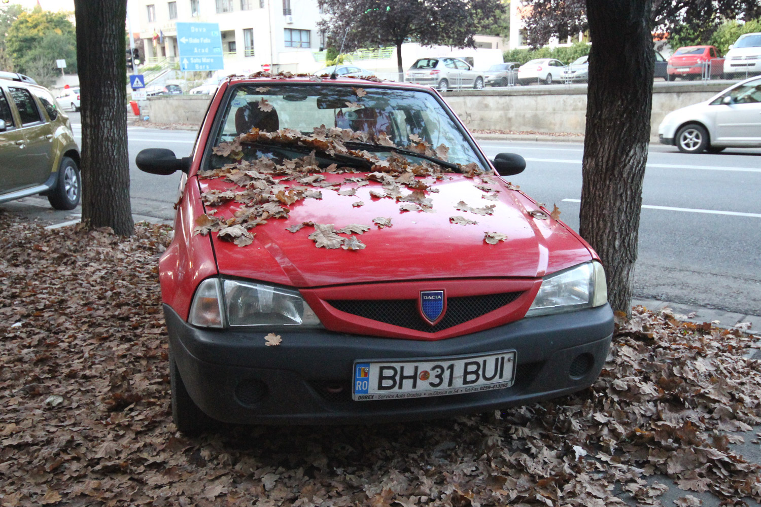 A Dacia 50 árnyalata 5