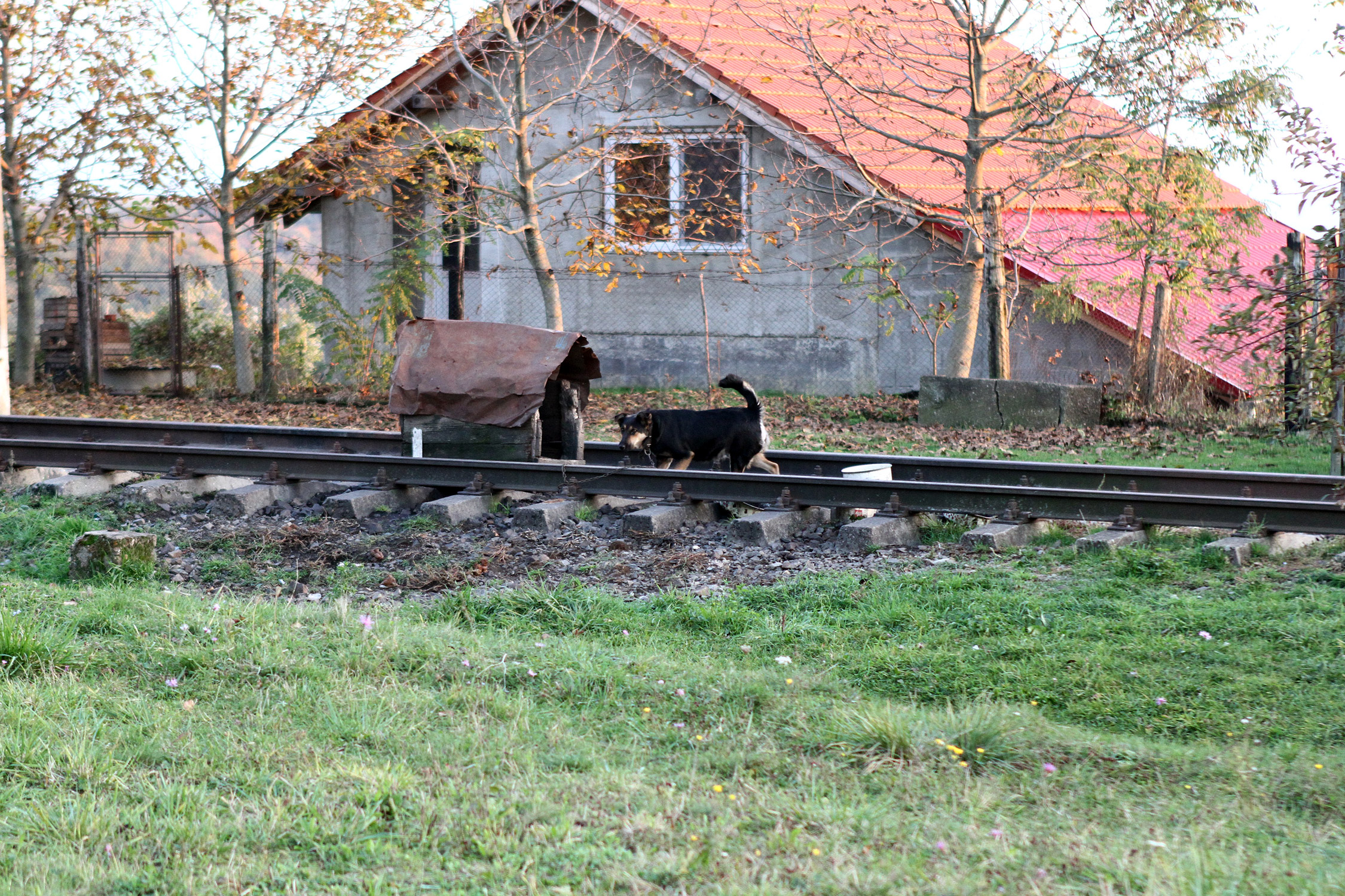 A Dacia-kaland resztlije 18