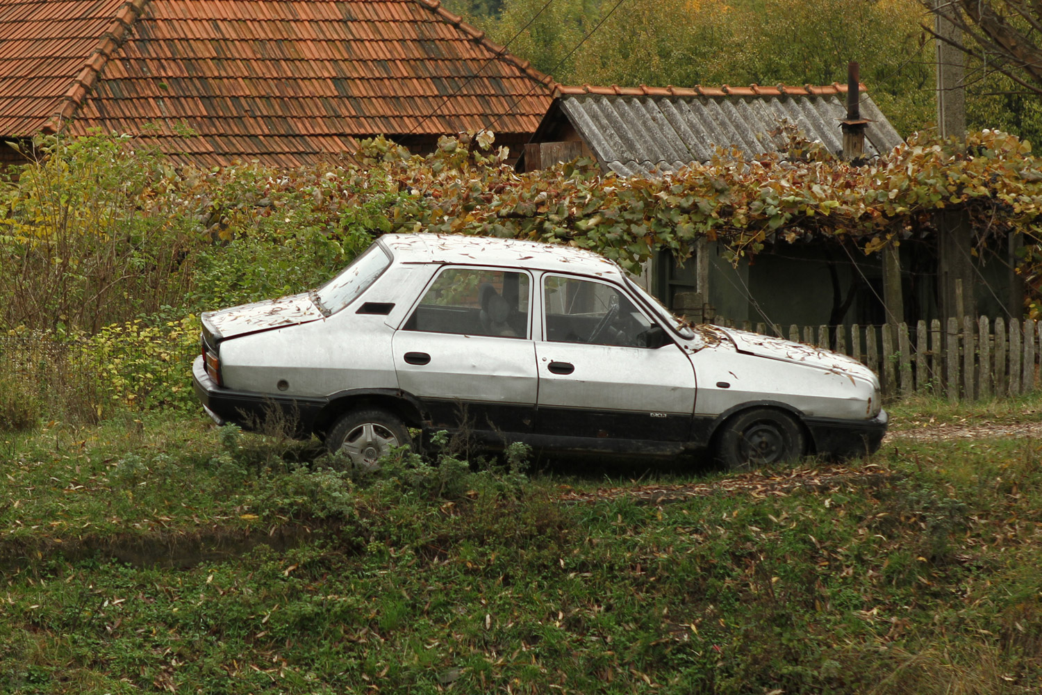 A Dacia 50 árnyalata 17