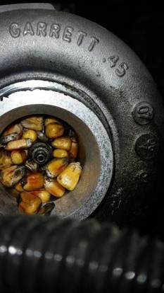 15319223_1130814633702103_1024723883077889320_n