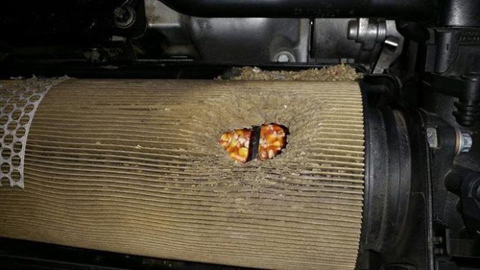 15350659_1130814490368784_2810121157094694726_n