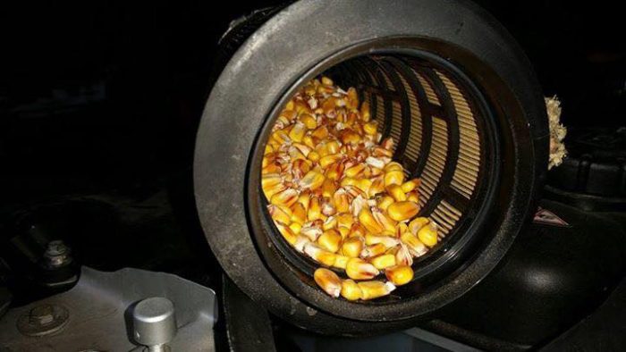 15380605_1130814517035448_5793133818105278521_n