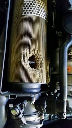 15420749_1130814483702118_2459625862934307909_n