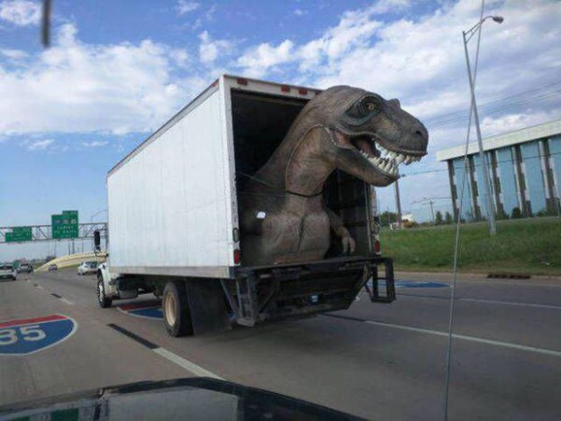 24 eszement autó a világ útjairól 14