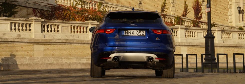 Oroszlánszívű Jaguar, kicsit molyrágta belsővel