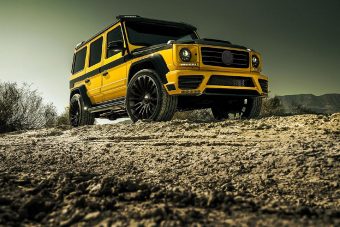 Csipkebugyit vaddisznóra?