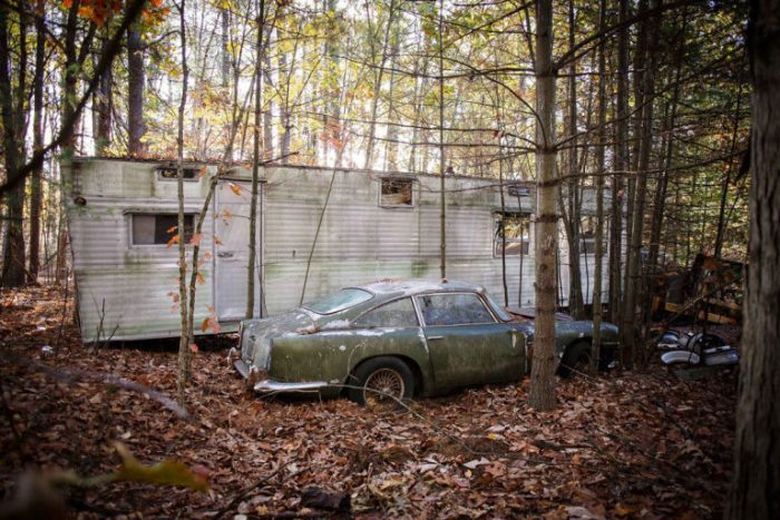 Kincset találtak egy amerikai erdőben