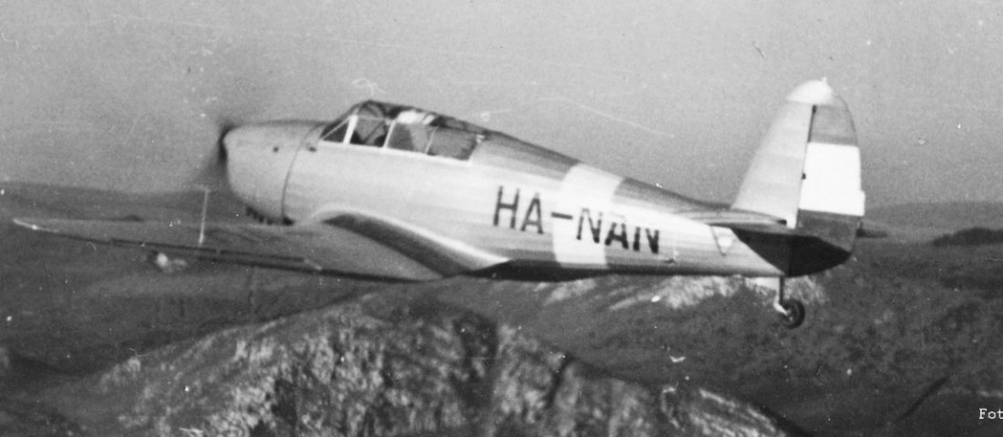 Hazatért az egyetlen magyar túlélő