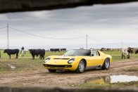 Erről a farmról nevezték el a legszebb Lamborghinit 2