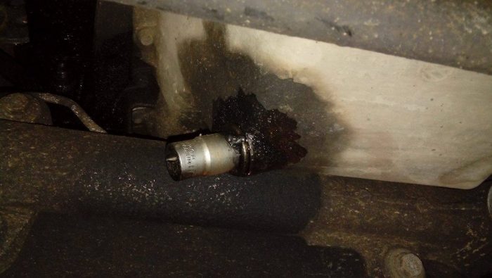 15800229_710927072411957_6365991302253754414_o