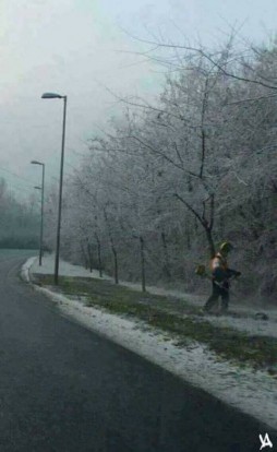 15871580_1162356687145250_2553105463096982788_n