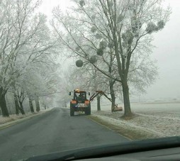 Érthetetlen dolog történik a magyar utak mellett