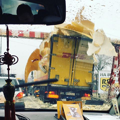 15966279_1206559992746438_2007428964686517792_n