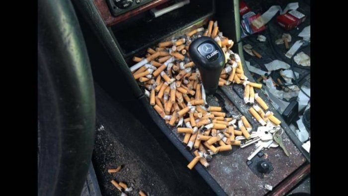 16114203_609606735891001_5246582173096408083_n