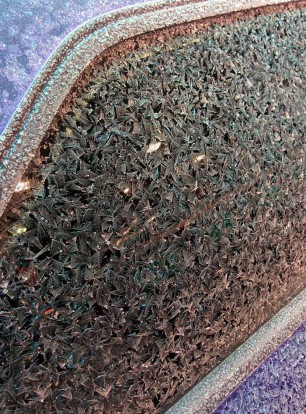 16195792_1885552305024476_6773314758720204302_n