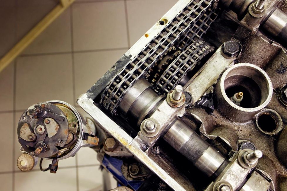 16252040_1172461442807740_4773541707252773210_o