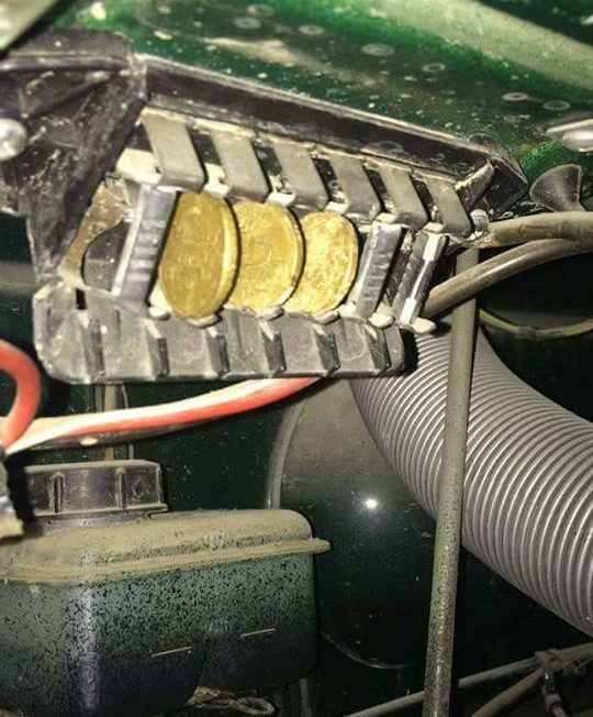 16265554_609606602557681_199121977226831393_n