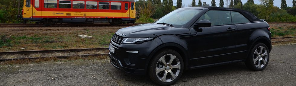 Kopasz divatdiktátor: a nők egyik kedvenc játékszere