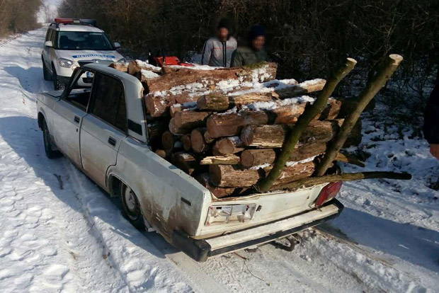 image-0-02-05-b22a7013fc279b1e0f2b39f2207a1330d79a559d5b0bddddd61d92d5d1743f29-v