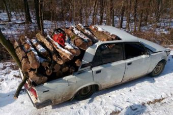 Nem kímélték a spéci Ladát a fatolvajok