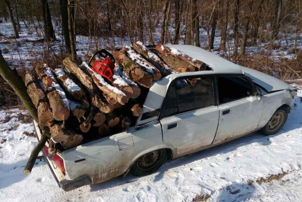 Nem kímélték a spéci Ladát a fatolvajok