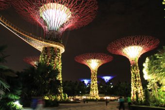 Ahol kötelező 10 évente új autót venni (X)