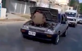 Minden kétséget kizáróan ő itt a nap szerelője