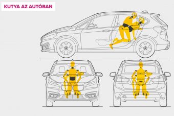 Íme a legjobb autós szexpózok