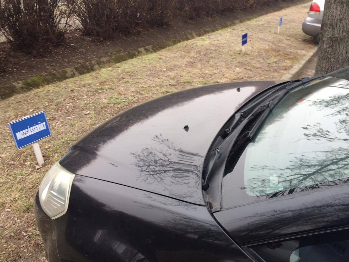 16763483_1211406212240070_1999200972_o