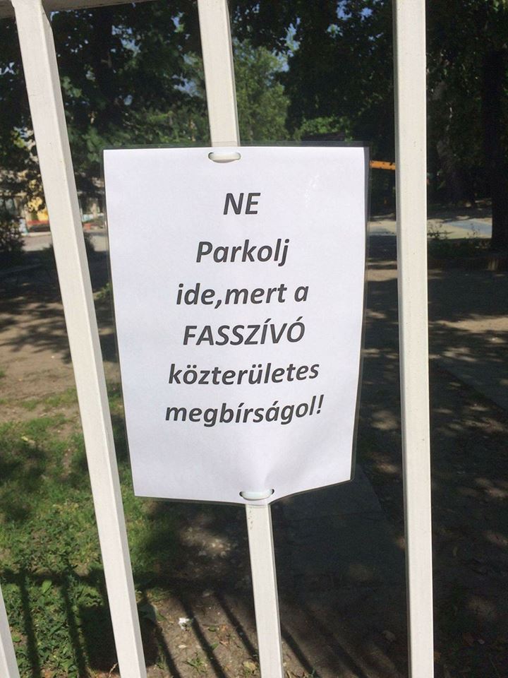 16923630_1637156549644282_514214665_n