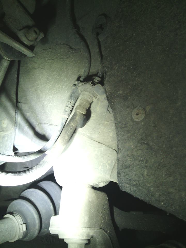 16997227_1283781861669435_1145565915_n