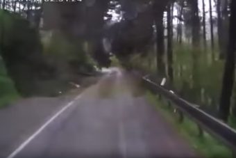 Videón, ahogy az erdő rátámad egy autóra