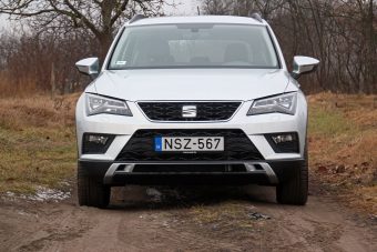 Pórázon tartott Tiguan