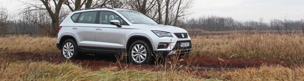 Pórázon tartott Tiguan