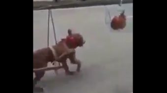 Erős motiváció hajtja ezt a könnyű fogatot